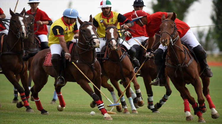 خبر شوکه کننده برای تیمملی چوگان