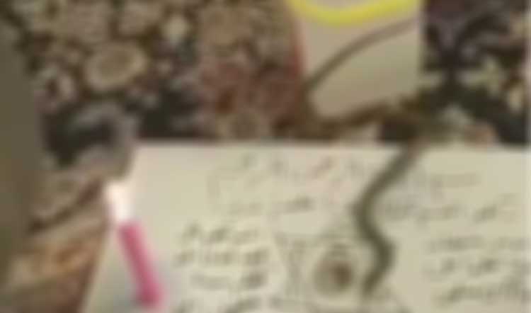 بی خبری فدراسیون از رمالی در فوتبال