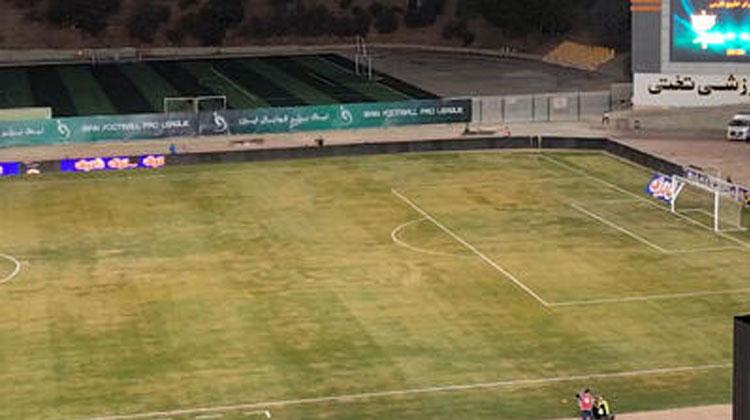 چمن تختی سبز نشده آفت زد!