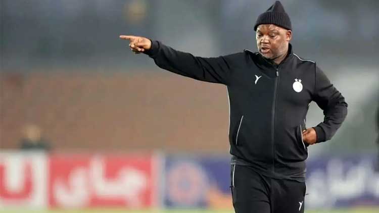 دلبری موسیمانه برای اهلی